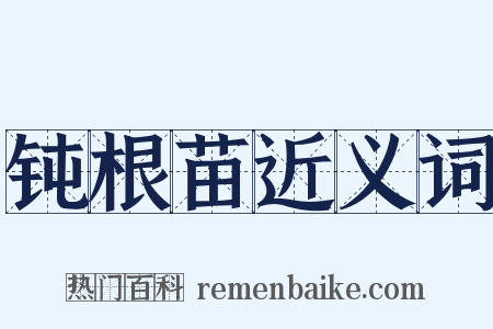 钝根苗近义词是什么意思的图片